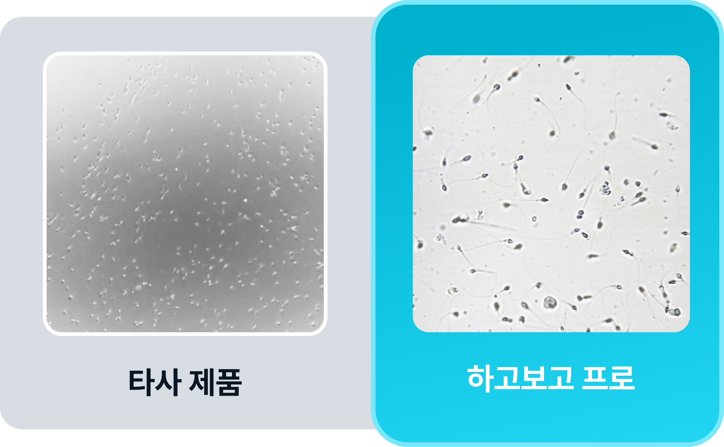 i18n: ihp.alt.sperm_comparison